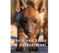 The Brown Hyena Of Makgadikgadi