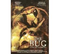 The Bug