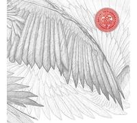 The Bug - Angels & Devils - Cd