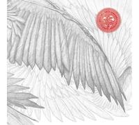 The Bug Angels & Devils (CD) Album