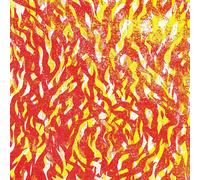 The Bug Fire (CD) Album