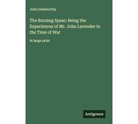 The Burning Spear; Being the Experiences of Mr. John Lavender in the Time of War: in large print