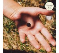 The Calicos - The Soft Landing (LP)