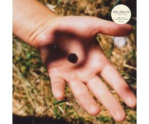The Calicos - The Soft Landing (LP)