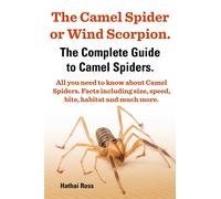 The Camel Spider or Wind Scorpion. the Complete Guide to Camel Spiders. Al...