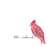 WESLEY JOE - THE CARDINAL