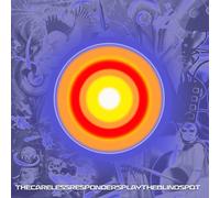 the Careless Responders Play the Blind Spot (Vinyl LP)