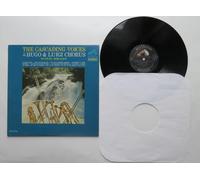 The Cascading Voices Of The Hugo & Luigi Chorus