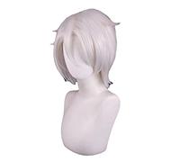 The Case Study of Vanitas Vanitas Noe Archiviste Blue Black Silvery White Cosplay Wig Heat Resistant Synthetic Hair + a wig cap