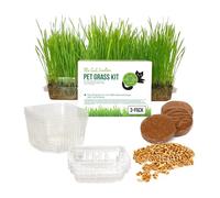 The Cat Ladies Erba per Gatti da Interno - Confezione da 3 - Kit Completo con Semi da Piantare Terriccio e Vaschette - Facile e Veloce da Crescere - Piante per Gatti da Casa