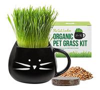 The Cat Ladies Erba per Gatti da Interno - Kit di Coltivazione - con Semi Terriccio e Fioriera a Forma di Tazza - Snack Naturale per Gatti - Aiuta la Digestione Contro Boli di Pelo