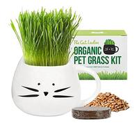 The Cat Ladies Erba per Gatti da Interno - Kit di Coltivazione - con Semi Terriccio e Fioriera a Forma di Tazza - Snack Naturale per Gatti - Aiuta la Digestione Contro Boli di Pelo
