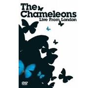 The Chameleons - Live from London