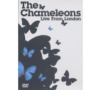 The Chameleons - Live from London