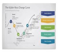 The Change Curve Poster Kübler Ross Psychology Model Educational Wall Art Canvas Print for Counseling Office and Classroom Decor(Unframed,08x12inch(20x30cm))