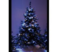 The Christmas Party Planner: 5 Complete Party Plans with Guest Lists, Menus, Budgets, Checklists, Secret Santa Cards and More