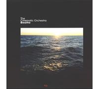 Breathe You In - The Cinematic Orchestra (Vinile)