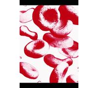 The Circulatory Code: Vascular Renewal through Nutrition and Movement