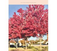 The City Series Notebook: Richmond-Virginia: Lined Notebook: Beautiful Autumn Leaves Composition Book for School and College (8.5 x 11 inches, 100 Pages)