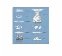 The Cloud Atlas Poster Different Cloud Types Canvas Print Modern Wall-Art for Office Home Science Decor(Unframed,08x12inch(20x30cm))
