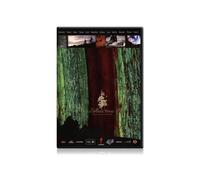 The Collective [DVD] [2009] [Edizione: Regno Unito]