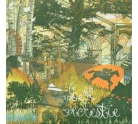 The Colour of Light (CD) Album