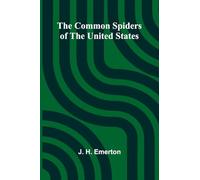 The Common Spiders Of The United States