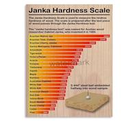 The Complete Guide to Wood Hardness Grades Canvas Wall Art Print for Workshop Library Decor(Unframed,08x12inch(20x30cm))