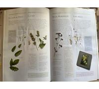 The Complete Illustrated Holistic Herbal: A Safe and Practical Guide to Making and Using Herbal Remedies