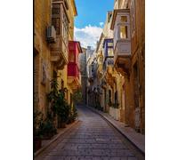 The Complete Photography Field Guide: From Beginner to Professional Photographer with Trade Secrets for Business Success