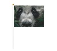 The confusion of giant pandas mini bandiere, resistenti, 14,9 x 20,8 cm, piccole bandiere su bastoni per esterni, cortile e giardino, confezione da 6 e 10 pezzi