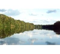 The Congo’s Salonga National Park: Interactions Between Society, Biodiversity and Water in a Humid Tropical Forest