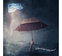 The Cosmic Trip Advisors What Are You Sinking About? (CD) Album