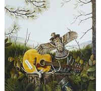 Dandy Warhols - This Machine