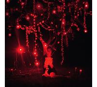 The Danger of Light (2lp+CD)