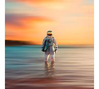 The Dangerous Summer Gravity (Vinyl LP) 12" Album