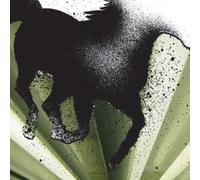 Achilles - Dark Horse