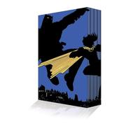 The Dark Knight Returns Slipcase Set: The Dark Knight Returns, Dark Knight Triumphant, Hunt the Dark Knight, the Dark Knight Falls