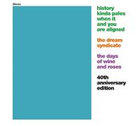 Dream Syndicate – The Days of Wine and Roses – CD