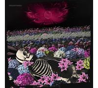 The Dead Rabbitts Redefined (Vinyl LP) 12" Album