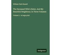The Deceased Wife's Sister, And My Beautiful Neighbour; In Three Volumes: Volume 3 - in large print
