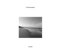 The Declining Winter Last April (Vinyl LP) Limited 12" Album