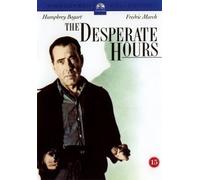 The Desperate Hours - 1955