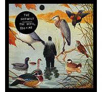 The Devil You Me - Notwist (Vinile)