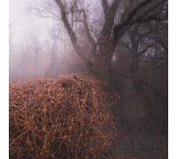 The Devil's Trade Nincs Szennyezetlen Szép (CD) Album Digipak