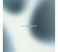 The Dharma Chain - Some Kind Of Pure State