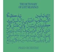 the dictionary of lost meaning