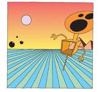 The Dismemberment Plan Emergency & I (Vinyl LP)