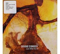 The Divine Comedy - Love What You Do