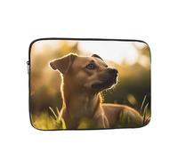 The Dog Standing on the Grass Under The Sunset - Custodia antiurto per computer portatile, sottile, leggera, portatile, da viaggio per 15"